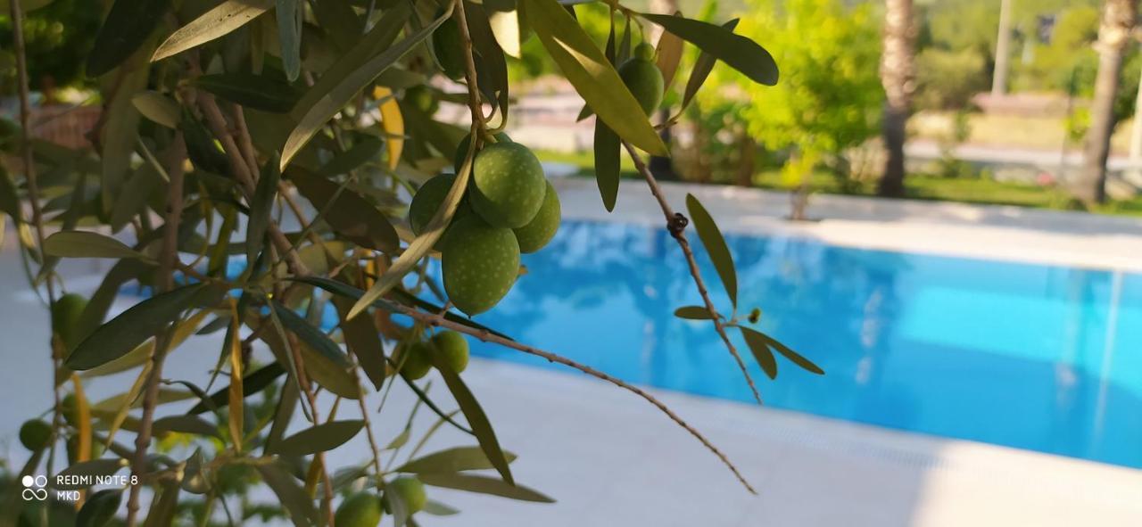 Green Garden Otel Kemer Kültér fotó