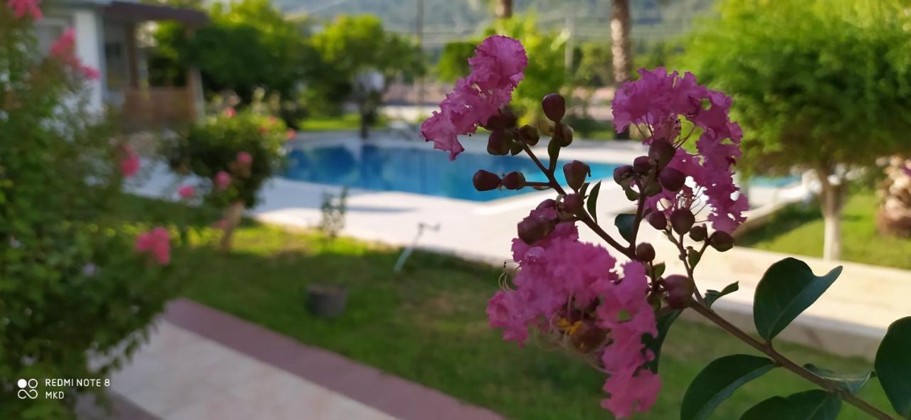 Green Garden Otel Kemer Kültér fotó