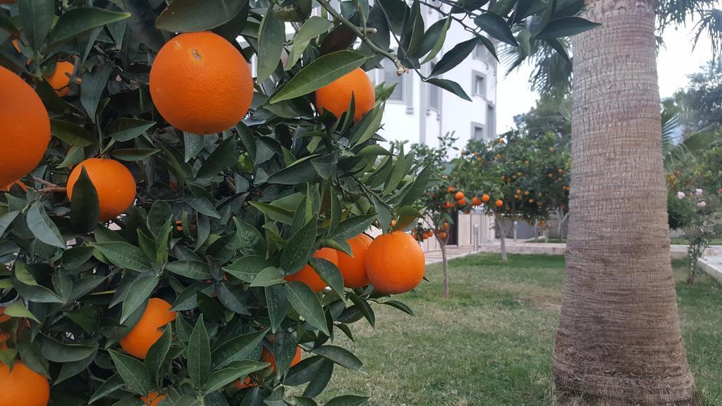 Green Garden Otel Kemer Kültér fotó